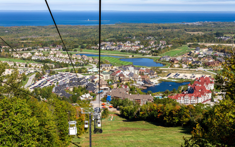 Top 3 Lifestyle Trends In Collingwood