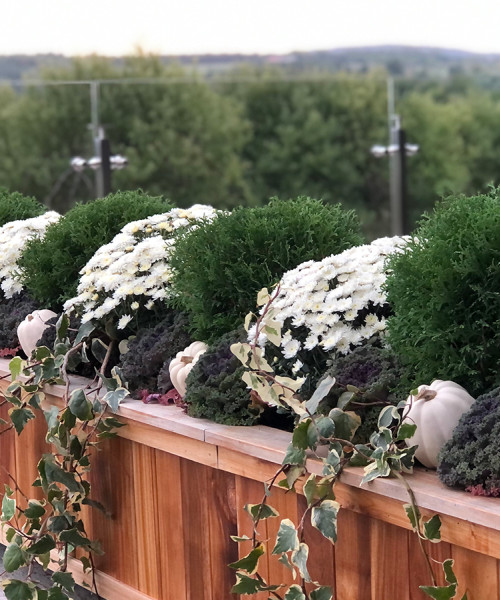 long planter with garden and pumpkins