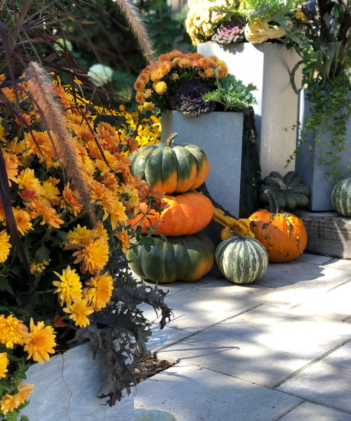 IMG_3843-Alex-Glueckler