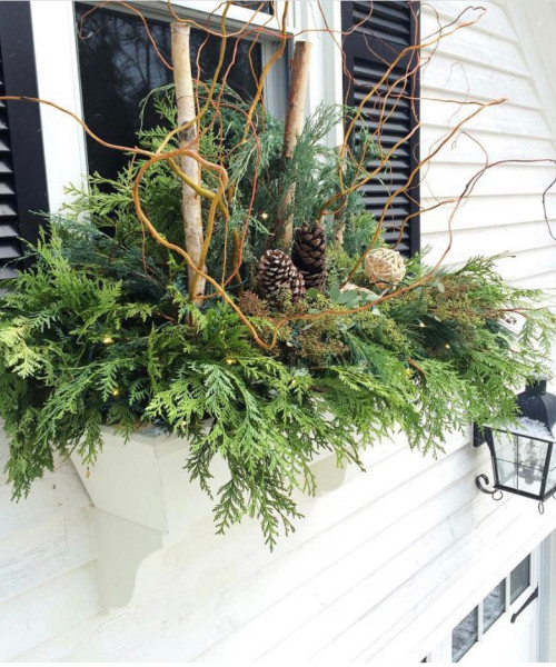 IMG_6594-Alex-Glueckler