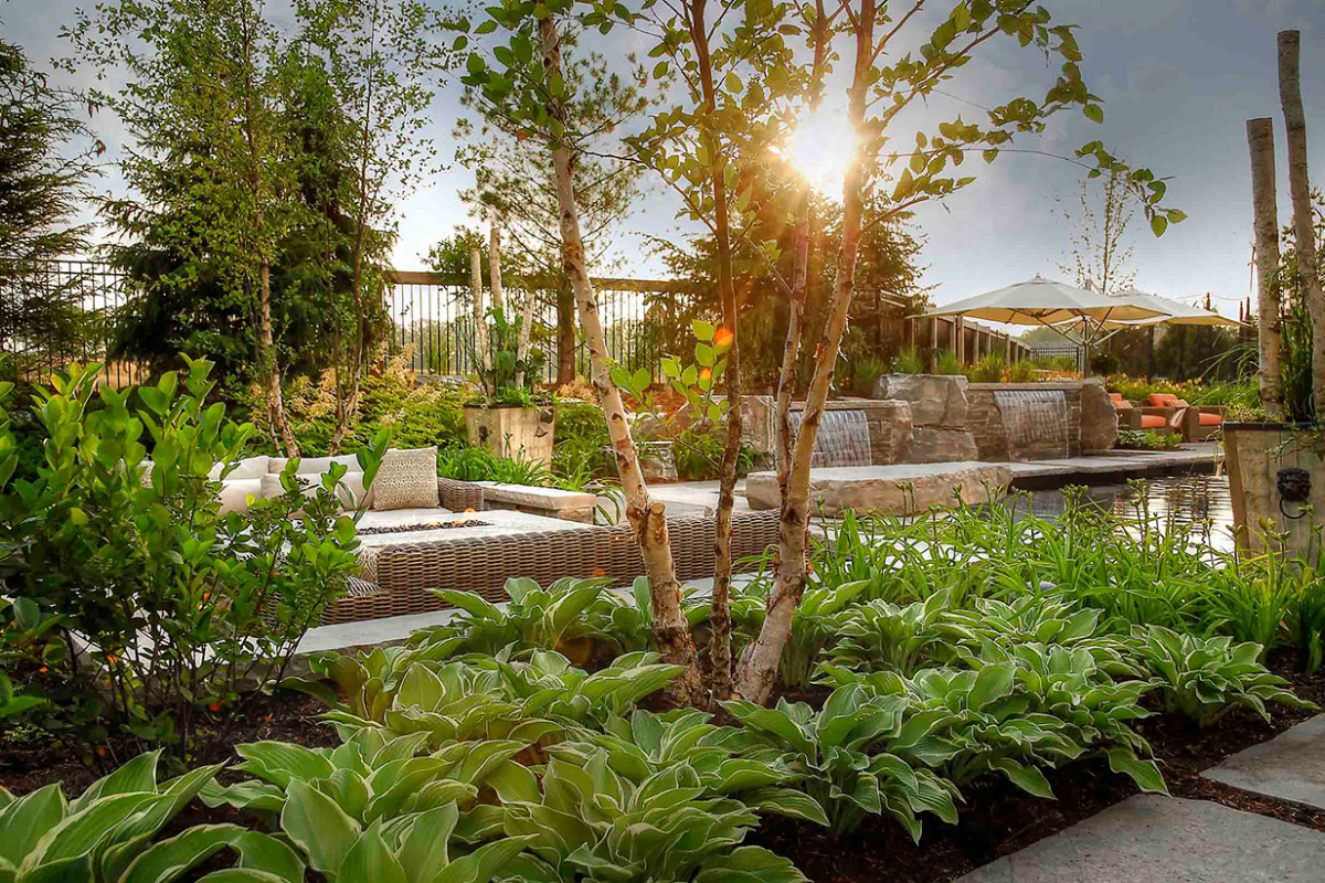 Whole9Yards-5-1617120641